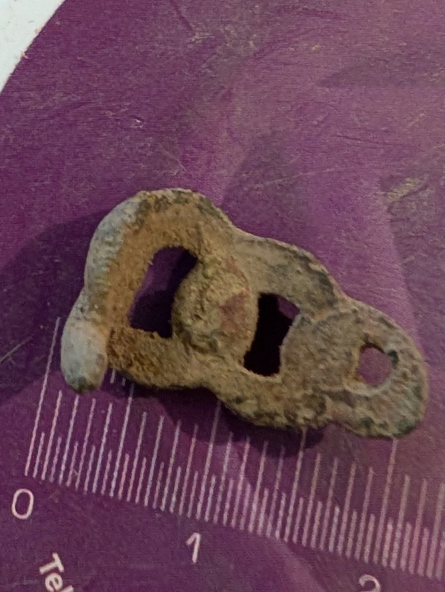 robnant21's tweet photo. One for @NWales_FLO possible belt mount not sure on age. https://t.co/76t63HjUtx