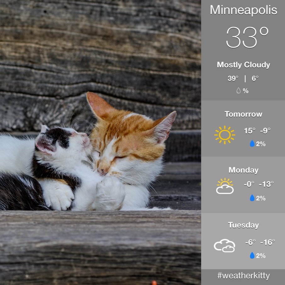 Janine Munson tweet media