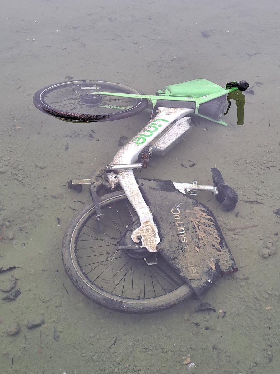 LouiseRuns 🌹🇬🇧 🇪🇺 tweet media