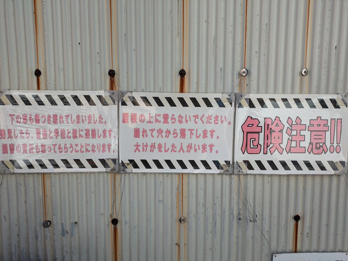 Khakiooo's tweet photo. 大田区民、屋根に登りがち https://t.co/lKbG8QfhiY