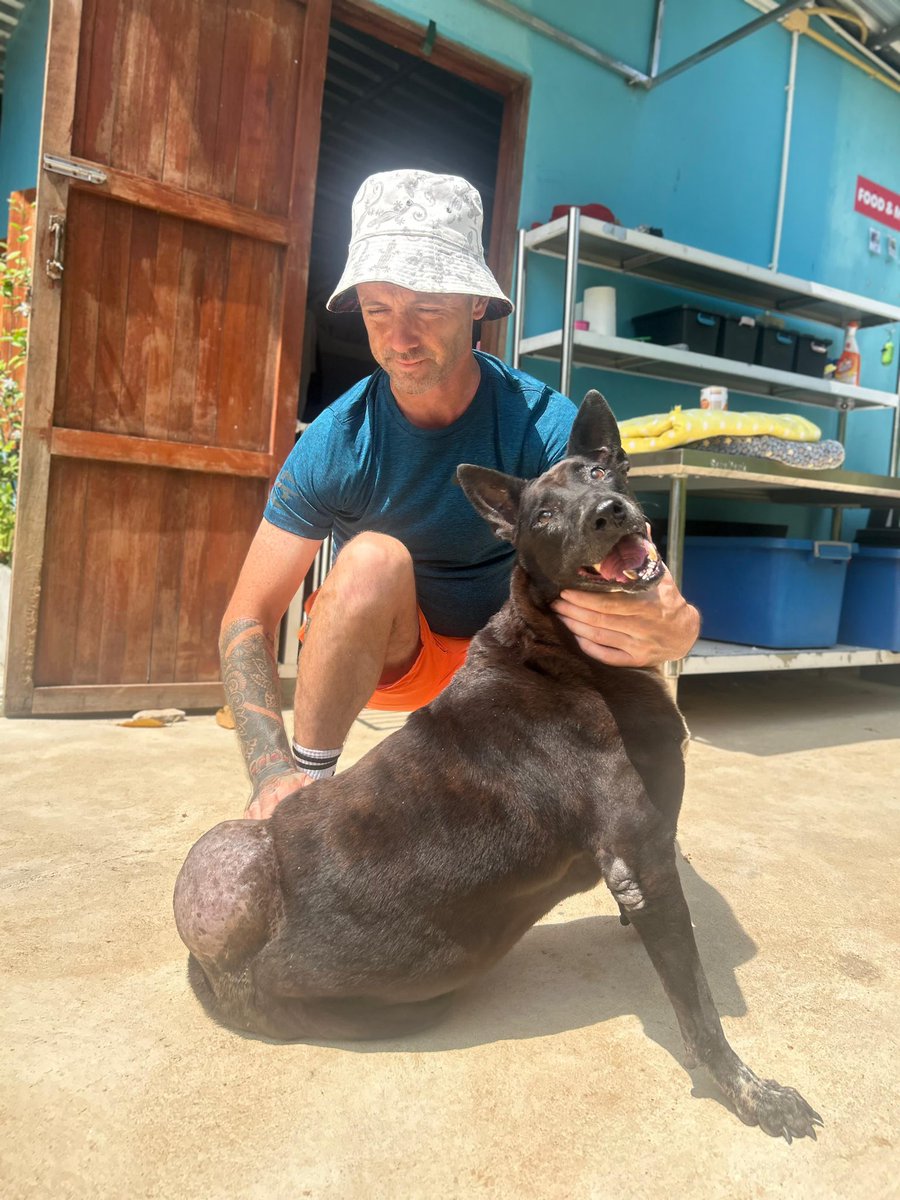 Niall Harbison tweet media