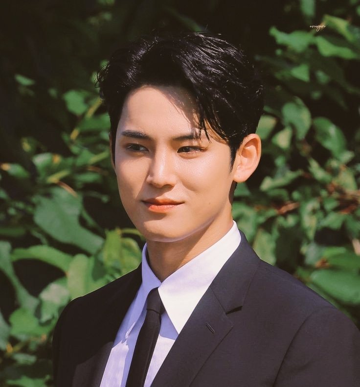 Maestro - 🔞
Mingyu SVT Few tweets AU 

♤bvtterdaisy