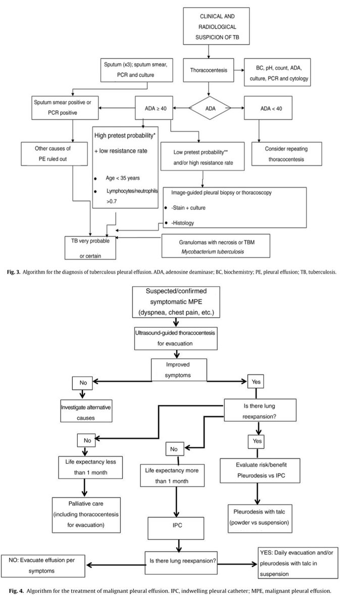 Dr.Marlon Villanueva™ 🩺 𝕏 tweet media