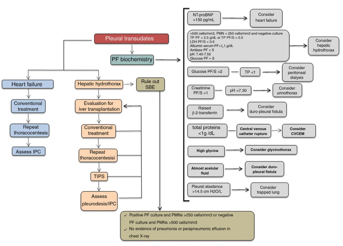 Dr.Marlon Villanueva™ 🩺 𝕏 tweet media