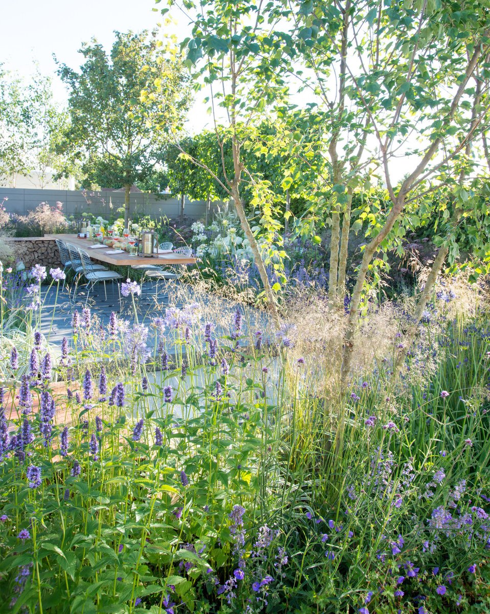 "🌼 Denk vooruit: kies nu voor vaste planten! De winter is het perfecte moment om plannen te maken voor je tuin. Welke vaste planten ga jij dit voorjaar planten? 🌷🌿 im.nu/M6xOvW #TuinVoorbereiding #GroenGenot #VastePlanten"