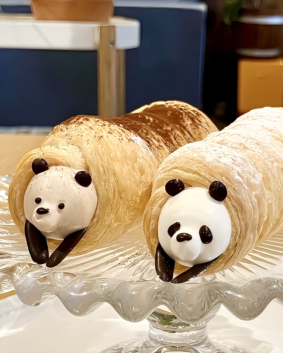 sweetroad5's tweet photo. 愛知県名古屋市大須観音駅近くにあるお店「yama coffee」の、パイコロネから生クリームのパンダと、ラム酒入りチョコクリームで作ったくまがひょっこり出た『コロコロパンダ』✨

1月末までの期間限定で、1日6セット、11:30〜の販売です！ https://t.co/M69dZZSasM