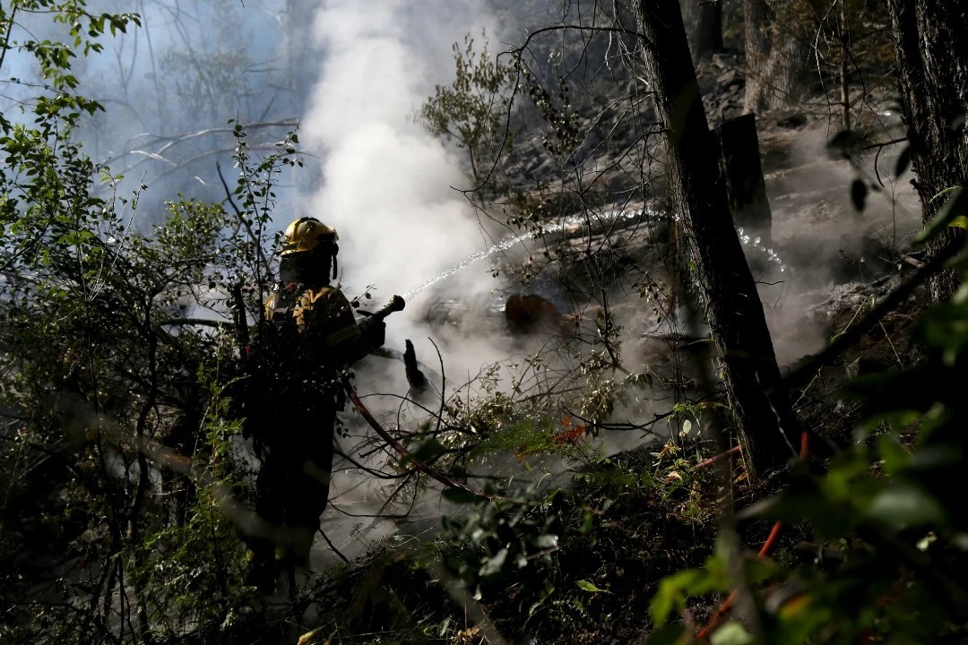 Sergio Wisky tweet media