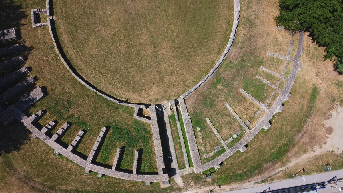 Forest:Archaic Collective tweet media