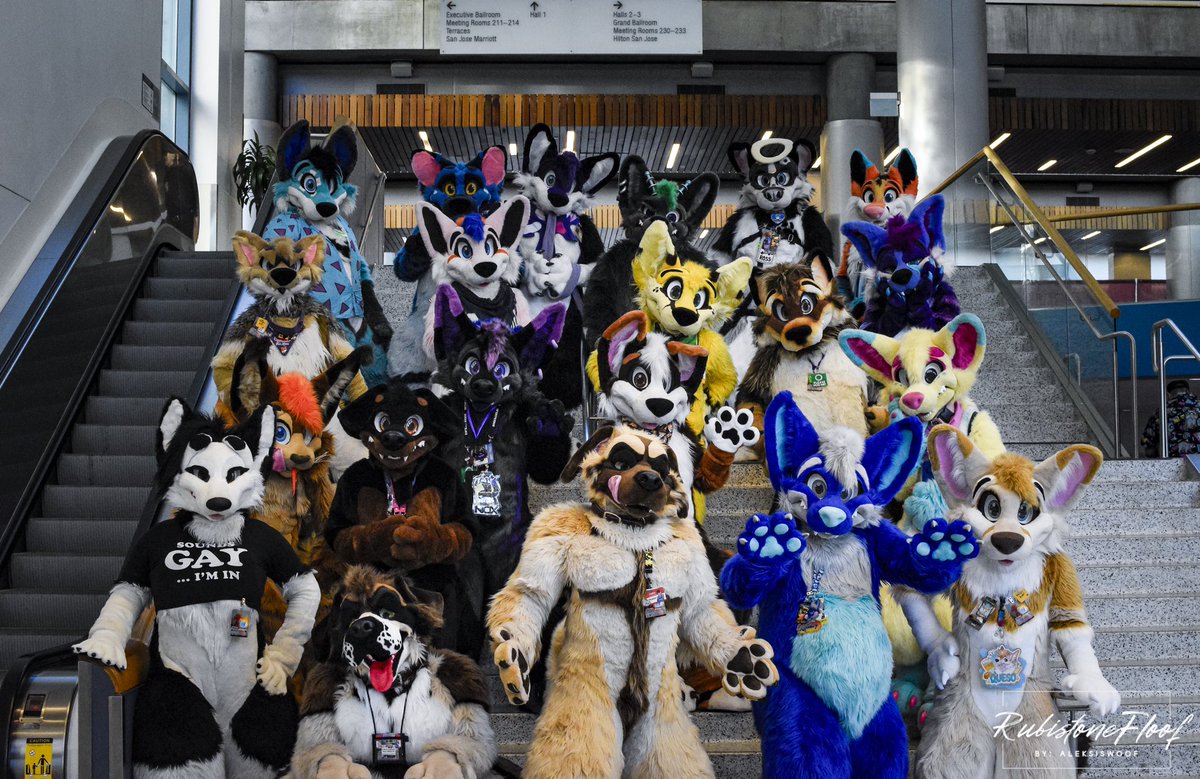 🇳🇱 Aleksis 🔜 Defqon.1 🇳🇱 (@aleksiswoof) on Twitter photo FRIDAY RECAP <a href="/MoreFurLess/">More Fur Less</a>
Thanks for coming and see you guys tomorrow!
<a href="/SouthKitsune/">southkitsunescopes.bsky.social🦊 🦁</a> <a href="/NWusky/">Musky Wusky!</a> <a href="/Lanepaws/">🐾 Lane McVΛPӨUЯPaws 🐾</a> <a href="/HuskyRoss/">🏳️⚧️ Ross the Angel Husky 😇</a> <a href="/Cyndercidee/">🍁🏂 EARS COUNT 😷🇨🇦</a> <a href="/Finn770123/">Finn 🔜 LVFC</a> <a href="/SparkToons/">⚡SparkToons⚡</a> <a href="/yeenhaze/">Haze the Hyena ➡️ LVFC</a> <a href="/qque/">Queso ☀️ 🧀 🦊</a> <a href="/LionNoms/">🩵✈️It's Cirrus 🛬💛</a> <a href="/NightMannyRey/">Ace/Rey 🦅/AlphaRey 🐺</a> <a href="/LaunchPadFurry/">Eastea</a> <a href="/WolfyLion/">Your Royal Fluffiness</a> <a href="/phantom__Q/">Q!</a> FRIDAY RECAP <a href="/MoreFurLess/">More Fur Less</a>
Thanks for coming and see you guys tomorrow!
<a href="/SouthKitsune/">southkitsunescopes.bsky.social🦊 🦁</a> <a href="/NWusky/">Musky Wusky!</a> <a href="/Lanepaws/">🐾 Lane McVΛPӨUЯPaws 🐾</a> <a href="/HuskyRoss/">🏳️⚧️ Ross the Angel Husky 😇</a> <a href="/Cyndercidee/">🍁🏂 EARS COUNT 😷🇨🇦</a> <a href="/Finn770123/">Finn 🔜 LVFC</a> <a href="/SparkToons/">⚡SparkToons⚡</a> <a href="/yeenhaze/">Haze the Hyena ➡️ LVFC</a> <a href="/qque/">Queso ☀️ 🧀 🦊</a> <a href="/LionNoms/">🩵✈️It's Cirrus 🛬💛</a> <a href="/NightMannyRey/">Ace/Rey 🦅/AlphaRey 🐺</a> <a href="/LaunchPadFurry/">Eastea</a> <a href="/WolfyLion/">Your Royal Fluffiness</a> <a href="/phantom__Q/">Q!</a>