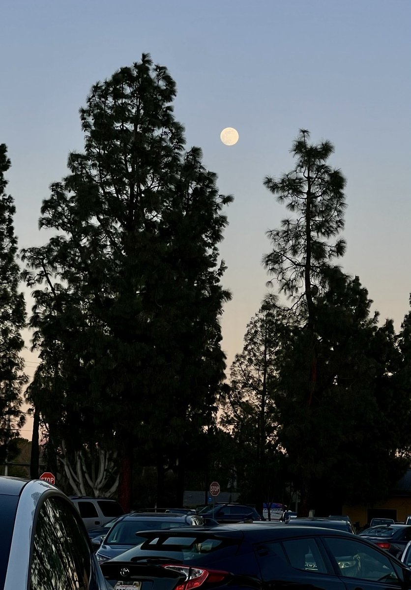 marilerie's tweet photo. First full moon of 2025 #wolfmoon https://t.co/oVwSmtxlBp