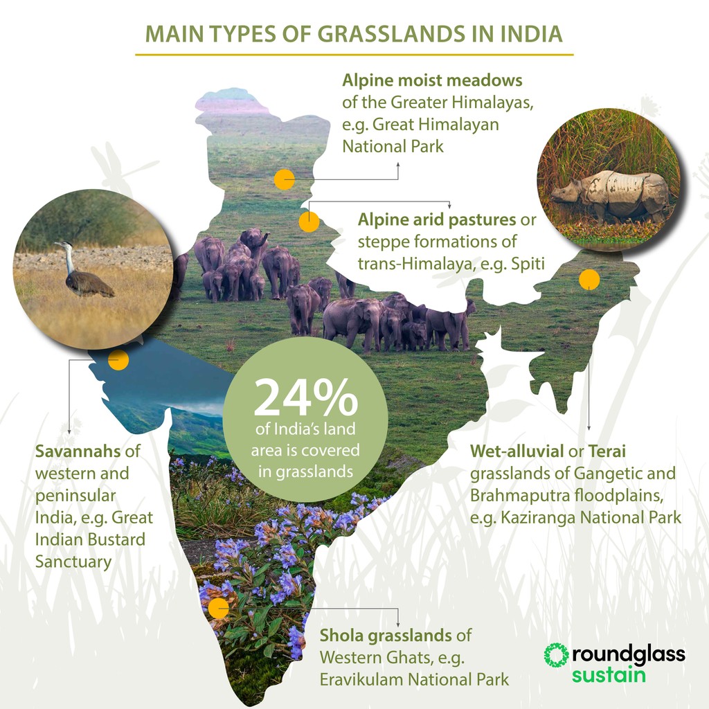 Roundglass Sustain tweet media