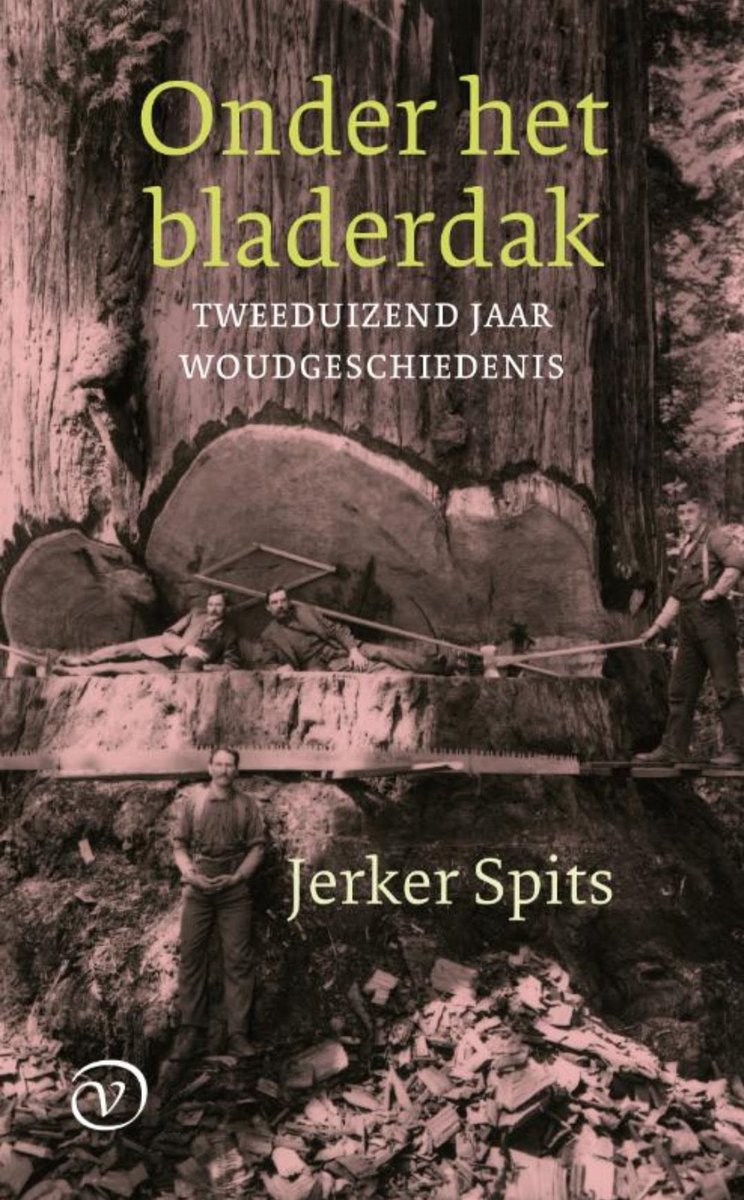 'Een heerlijk boek, aanstekelijk, een plezier om het te lezen.' Onder het bladerdak is boek van de week op <a href="/NPORadio4/">NPO Radio 4</a>. Hier kun je het fragment beluisteren met Ad Quist van <a href="/quistboeken/">Boekhandel Quist</a> in Bergen op Zoom. Presentatie: Hans Smit. <a href="/oorschotboeken/">Van Oorschot</a> 

npoklassiek.nl/fragmenten/de-…