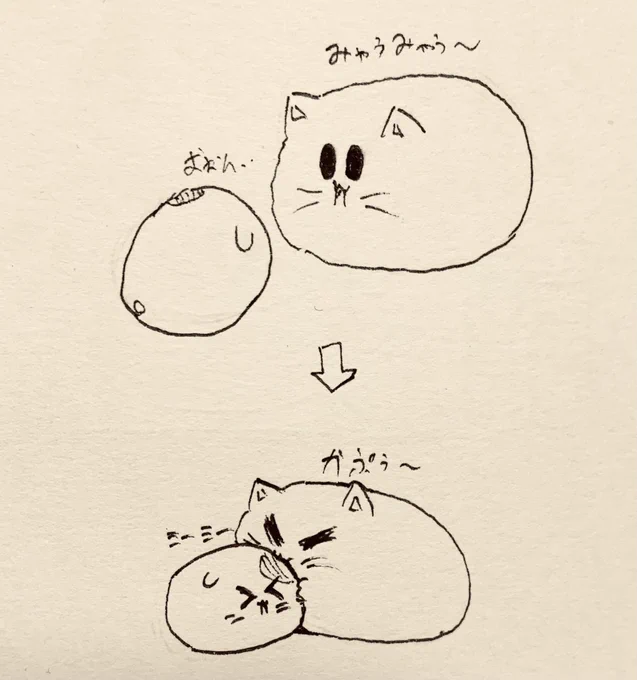 お昼寝してた🐱 