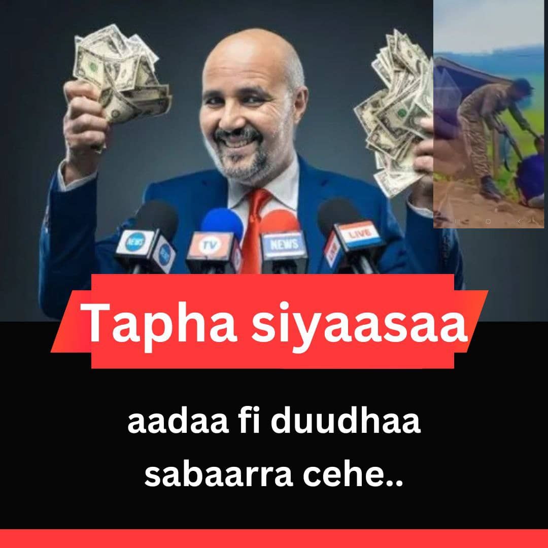 JarsoShedo's tweet photo. https://t.co/SCa5PTiyRZ