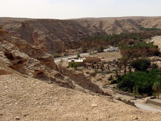 oamnod3's tweet photo. دور رجال الأعمال والمستثمرين في تطوير مشروع غار جبل التوباد

إلى جانب الدور المحوري الذي تضطلع به الجهات الحكومية، يبقى لرجال الأعمال والمستثمرين دور جوهري في تحويل حلم تطوير غار جبل التوباد إلى واقع ملموس. 

يمكن أن يشكل التعاون بين القطاعين العام والخاص نموذجاً فعّالاً لتحقيق التنمية المستدامة لهذا الموقع التاريخي، إذ يُتيح الاستثمار في هذا المشروع الفرصة ليس فقط لتحقيق عوائد اقتصادية، بل أيضاً للمساهمة في تعزيز الهوية الثقافية والوطنية.

فرص الاستثمار في المشروع

يمكن لرجال الأعمال والمستثمرين المشاركة من خلال عدة مسارات، منها:

1. الاستثمار في البنية التحتية السياحية:

•بناء مرافق سياحية تشمل منتجعات صغيرة، واستراحات، ومقاهي، ومطاعم تُطل على الجبل وتتيح للزوار تجربة سياحية فريدة.
•إنشاء مسارات صعود مجهزة ومحمية تربط الزوار بالغار بسهولة وأمان، مع توفير خدمات إضافية مثل نقاط استراحة ومواقف للسيارات.

2. المشاريع الثقافية والتعليمية:

•تمويل إنشاء مركز ثقافي بجانب الجبل، يضم متحفاً يروي قصة قيس وليلى، إلى جانب مكتبة أدبية تحوي أبرز الأعمال الشعرية التي خلدت هذا الحب.
•إنشاء مسرح مفتوح لتنظيم فعاليات أدبية وثقافية مثل الأمسيات الشعرية والعروض المسرحية.

3. الابتكار في السياحة الترفيهية:

•تمويل مشاريع ترفيهية تعتمد على التقنيات الحديثة مثل تجربة الواقع الافتراضي (VR) التي تُحاكي قصة قيس وليلى في الموقع.
•تطوير تطبيقات ذكية تقدم جولات إرشادية للزوار بمختلف اللغات مع توفير معلومات عن الموقع وقصته.

4.دعم الفعاليات والمهرجانات:
•رعاية وتنظيم مهرجانات أدبية وثقافية تستقطب السياح والمثقفين، وتُبرز الموقع كرمز للتراث الثقافي السعودي.

الفوائد الاقتصادية والاجتماعية للمستثمرين

•العوائد المالية: يُعد تطوير غار جبل التوباد فرصة واعدة للاستثمار في قطاع السياحة الثقافية، وهو أحد أسرع القطاعات نمواً في المملكة.
•تعزيز المسؤولية الاجتماعية: مشاركة رجال الأعمال في تطوير الموقع تسهم في تعزيز دورهم كرواد للتنمية المجتمعية وداعمين للمشاريع الوطنية.
•تطوير المجتمع المحلي: الاستثمارات في الموقع ستوفر فرص عمل مباشرة وغير مباشرة لأبناء محافظة الأفلاج، مما يعزز التنمية الاقتصادية المحلية.

دعوة مفتوحة ورغبة ملحة

إننا نوجّه دعوة مفتوحة لرجال الأعمال والمستثمرين الوطنيين والدوليين ليكونوا جزءاً من هذا المشروع الطموح. فالمشاركة في تطوير غار جبل التوباد ليست مجرد استثمار اقتصادي، بل هي استثمار في المستقبل الثقافي والسياحي للمملكة. 

من خلال هذا المشروع، يمكن أن نضع محافظة الأفلاج على خارطة السياحة العالمية، ونظهر للعالم أجمع مدى اعتزازنا بتراثنا وهويتنا الوطنية.

آخر المطاف

يبقى مشروع تطوير غار جبل التوباد حلماً ينتظر الدعم المشترك من جميع الأطراف: الحكومة الرشيدة، القطاع الخاص، ورجال الأعمال. 

هذا الموقع الذي يحتضن تاريخاً أدبياً عريقاً يستحق أن يُصبح منارة ثقافية وسياحية تجسد رؤية المملكة الطموحة نحو بناء اقتصاد متنوع ومستدام يعزز هويتنا ويُبرز للعالم غنى تراثنا.

بقلمي ...