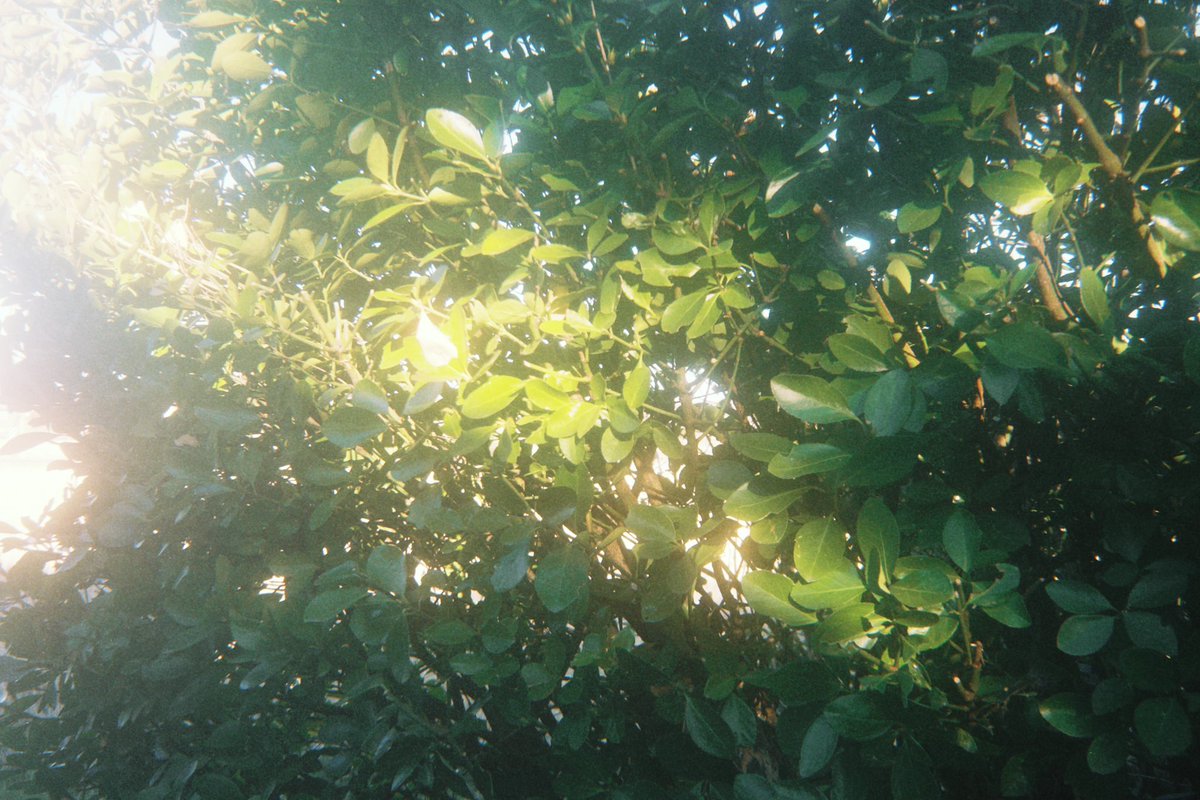 砂利 (@__jari___s2) on Twitter photo 