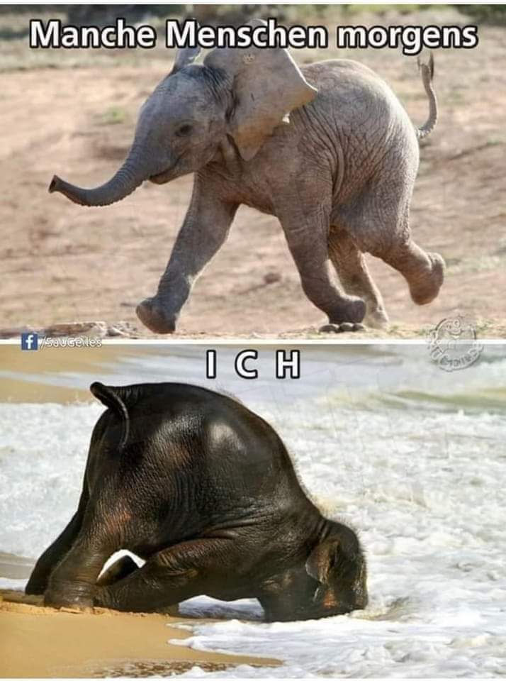 Guten Morgen, schönen Samstag ☕️🫶💙