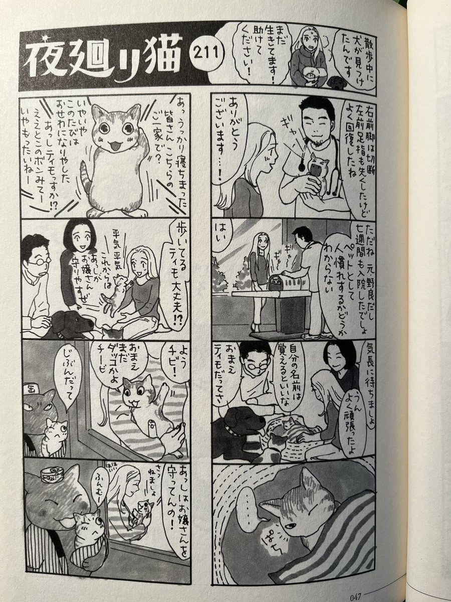 [私信](原画展の葉っぱのお手紙への返信)
ティモのママ様

弱った子猫ティモを拾い、7週間も入院させ、
「もう人間になつくのは無理かも」とお医者様に言われたのに
迷わず連れて帰られたティモのママ様!
ありがとう
ありがとう 