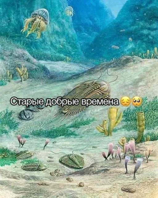 бимбо коза (@bzzzz3333) on Twitter photo 