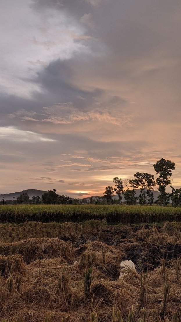 Senja datang merangkul bisu,
Menyelimutkan warna jingga,
Dedaunan berbisik malu,
Pada angin yang menggoda.

Sore ini milik kita,
Dalam senyum &amp; tatap yang sama,
Walau kau tak pernah hadir,
Di bawah langit yang memerah.

#piece_of_story #love #alwaysforever #youandme #senja