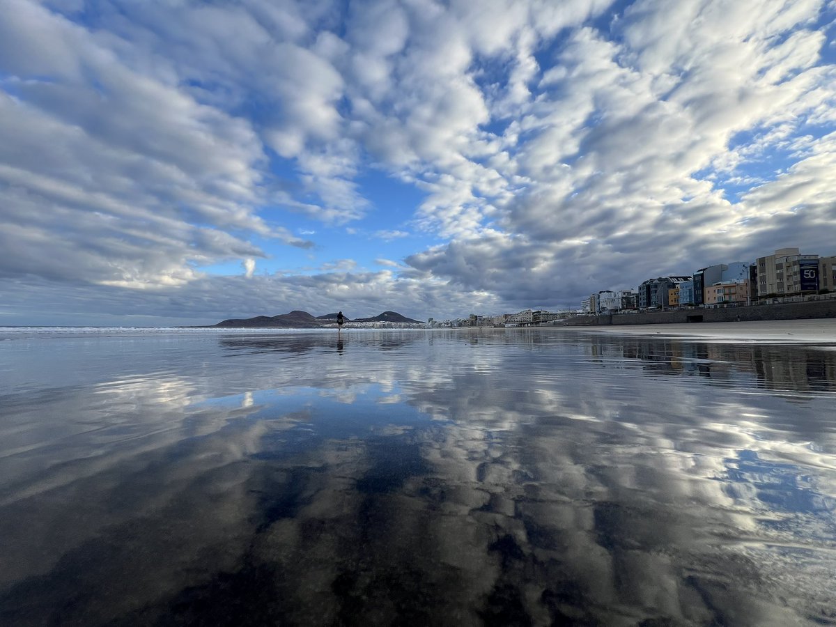 btzj's tweet photo. Buenos días!☀️ 🐠 
Amanece precioso!😍 
Feliz Sábado!🙃 

@LasCanteras 
@EmocionesCan 
@VickyPalmaMeteo https://t.co/iWJSnZTCIZ