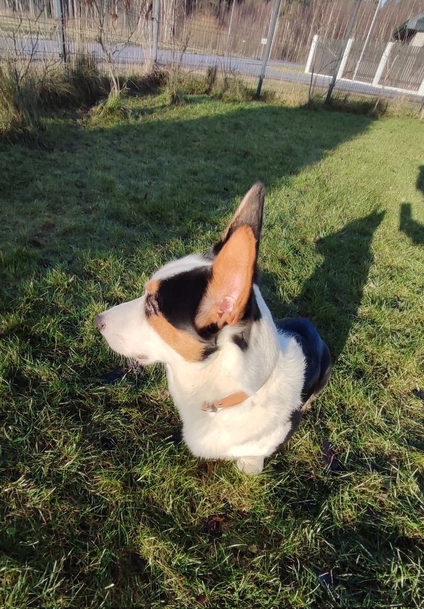 Kristine tweet media