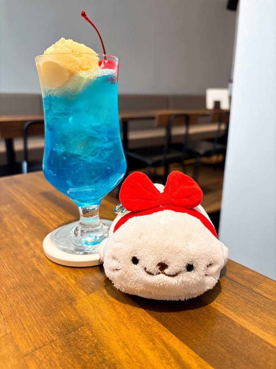 kurarara_u's tweet photo. しろたんとCafe G☕️⊂(=・ω・=)⊃🍰その2
#しろたん #CafeG https://t.co/ZBlNDURIAq