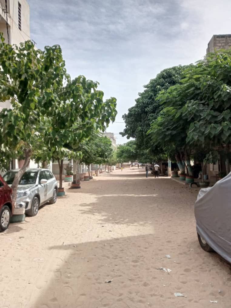 🇸🇳Abdou Touré🏆⭐️⭐️ tweet media