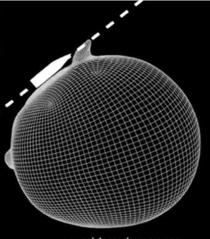 tjay_xbt's tweet image. Top blasting Trump vs top blasting $TRUMP