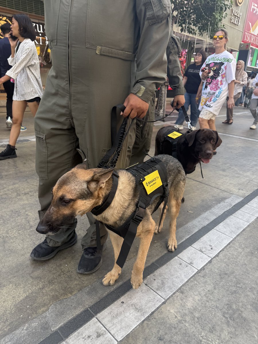 EarthDeFIRE's tweet image. "Street of the Future" Presented by BINANCE TH @Binance_TH_ by Gulf Binance

🗓️ วันที่: 18-19 มกราคม 2568

📍 เวลา: 10 โมงเป็นต้นไป ณ สยามสแควร์ ลงทะเบียนเพื่อเข้างานฟรี~ #SiamSquare

#StreetOfTheFuture in BKK on Jan 18-19, 2025, at Siam Square.