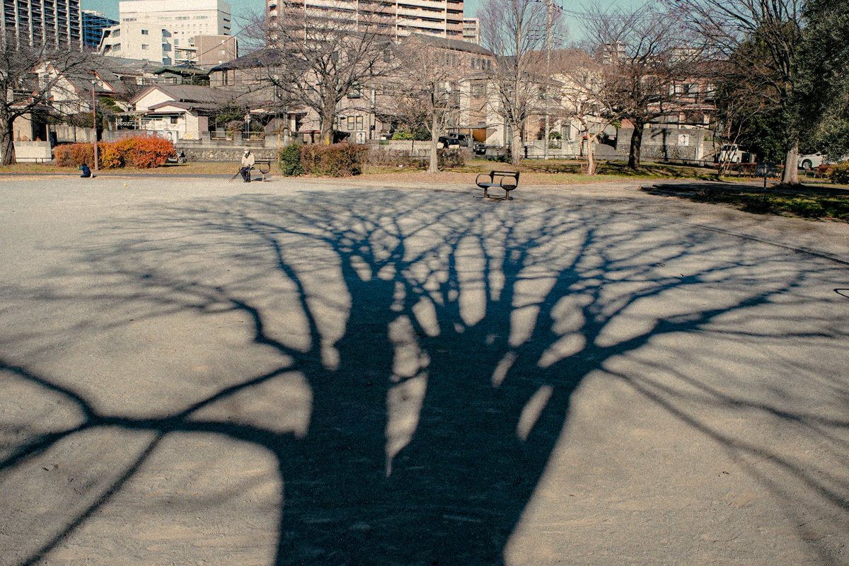 Yang Maha Eka tweet media