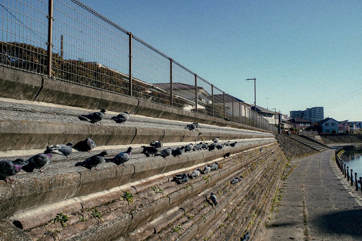 Yang Maha Eka tweet media