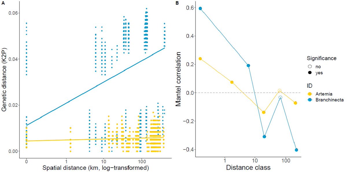 Andy J. Green (@drandygreen) on Twitter photo New paper with unique comparison of the genetic structure of sympatric fairy and brine shrimp populations in fishless lakes: #Branchinecta more diverse than #Artemia <a href="/ebdonana/">Estación Biológica de Doñana - CSIC</a> <a href="/SIL_limnology/">SIL Limnology</a> <a href="/freshwaterblog/">The Freshwater Blog</a> <a href="/ISSLR_/">ISSLR_saline lakes</a> <a href="/BenthosNews/">Freshwater Science</a> <a href="/AFL_org/">Alliance for Freshwater Life</a> <a href="/AIL_limnologia/">AIL Limnología</a> tandfonline.com/doi/full/10.10… New paper with unique comparison of the genetic structure of sympatric fairy and brine shrimp populations in fishless lakes: #Branchinecta more diverse than #Artemia <a href="/ebdonana/">Estación Biológica de Doñana - CSIC</a> <a href="/SIL_limnology/">SIL Limnology</a> <a href="/freshwaterblog/">The Freshwater Blog</a> <a href="/ISSLR_/">ISSLR_saline lakes</a> <a href="/BenthosNews/">Freshwater Science</a> <a href="/AFL_org/">Alliance for Freshwater Life</a> <a href="/AIL_limnologia/">AIL Limnología</a> tandfonline.com/doi/full/10.10…