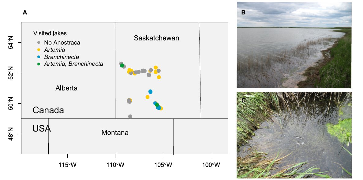 Andy J. Green tweet media