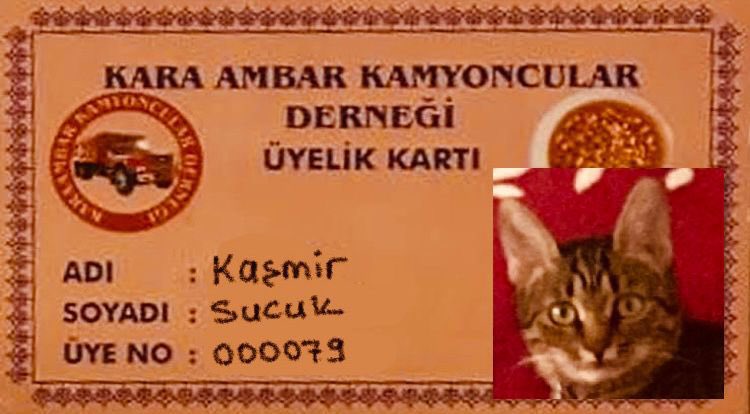 Hrkes karnesni alırken bn de önmli bi şey göstermk istemmişdim