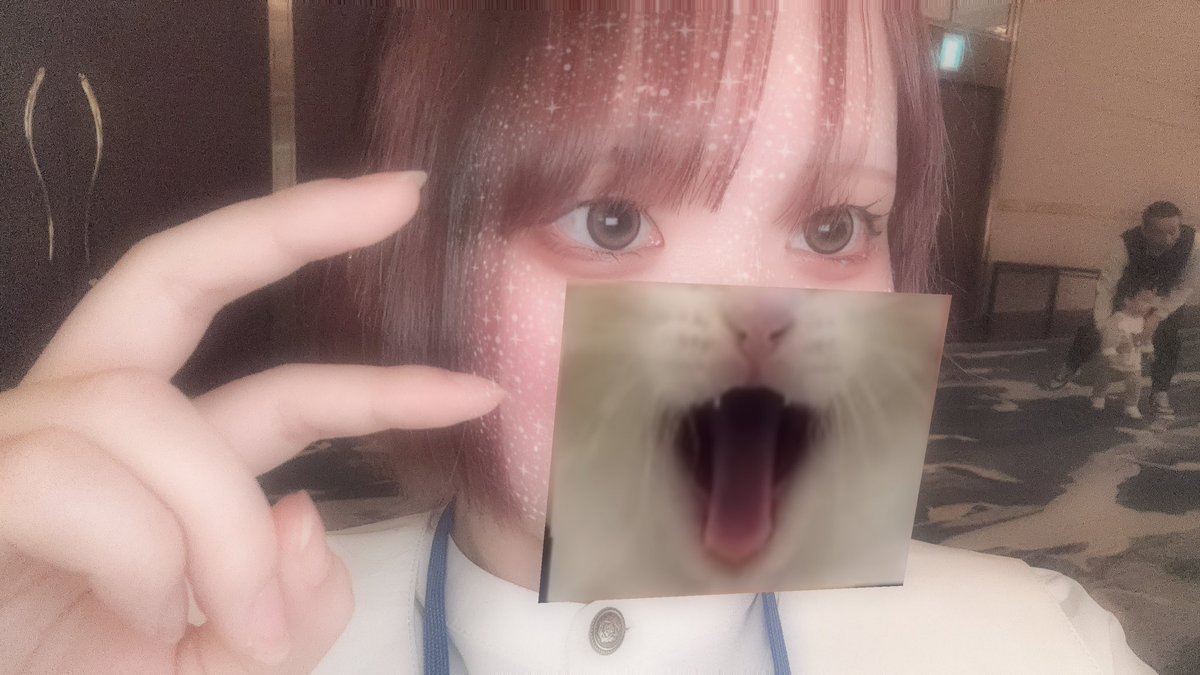 dero_o_7's tweet photo. にゃん https://t.co/v2rKkaCsnn