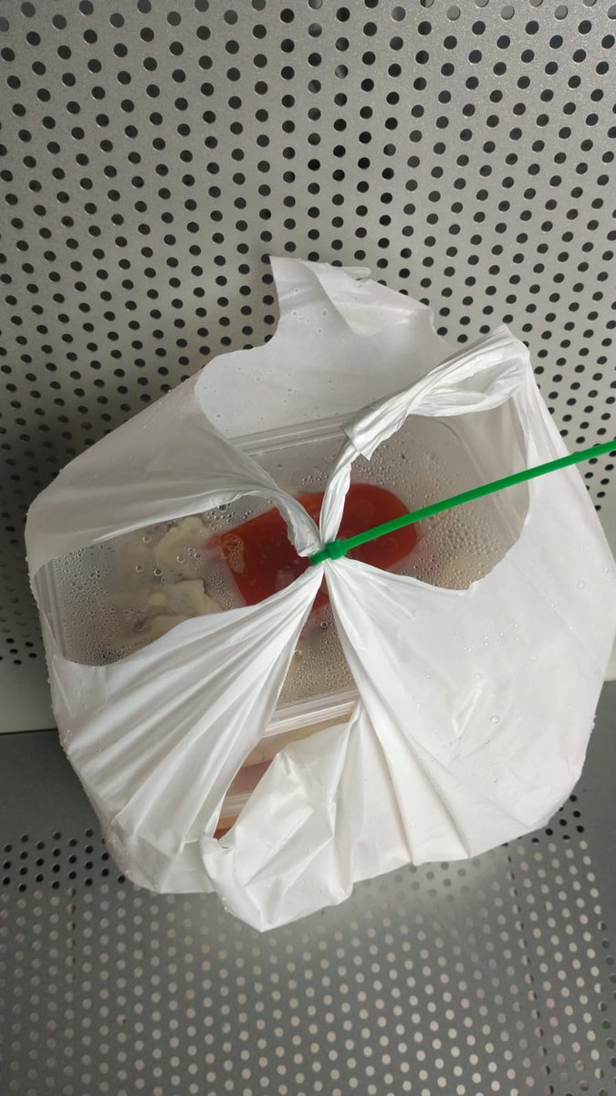 Farwabcde's tweet photo. Alhamdulillah MasyaAllah terima kasih banyak @bakuldimsum_ kiriman dimsumnya 🙏 Kakak iparku &amp; teman2 suaminya sangat terbantu dgn kiriman dimsumnya 🙏 Semoga Allah permudahkan setiap langkahmu ya, Kak 🤲🙂 https://t.co/cbiF29lVrU