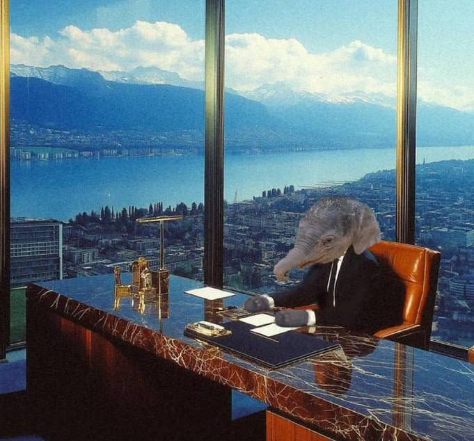 Kirby the Elephant | Fan Page (@kirbyelephant) on Twitter photo Our president <a href="/realDonaldTrump/">Donald J. Trump</a> launched his own meme coin on Solana $Trump; I guess imitation is the sincerest form of flattery.
I $Kirby, the president of baby elephants did it first 🐘 Our president <a href="/realDonaldTrump/">Donald J. Trump</a> launched his own meme coin on Solana $Trump; I guess imitation is the sincerest form of flattery.
I $Kirby, the president of baby elephants did it first 🐘