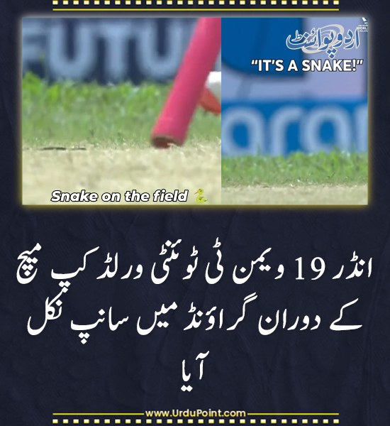 DailyUrduPoint's tweet photo. خبر کی مزید تفصیل جانئیے
https://t.co/I1A3RKgprS

#U19WomenT20WorldCup #SnakeInGround #Cricket #EnglandWomen https://t.co/7ibW6wAdeI