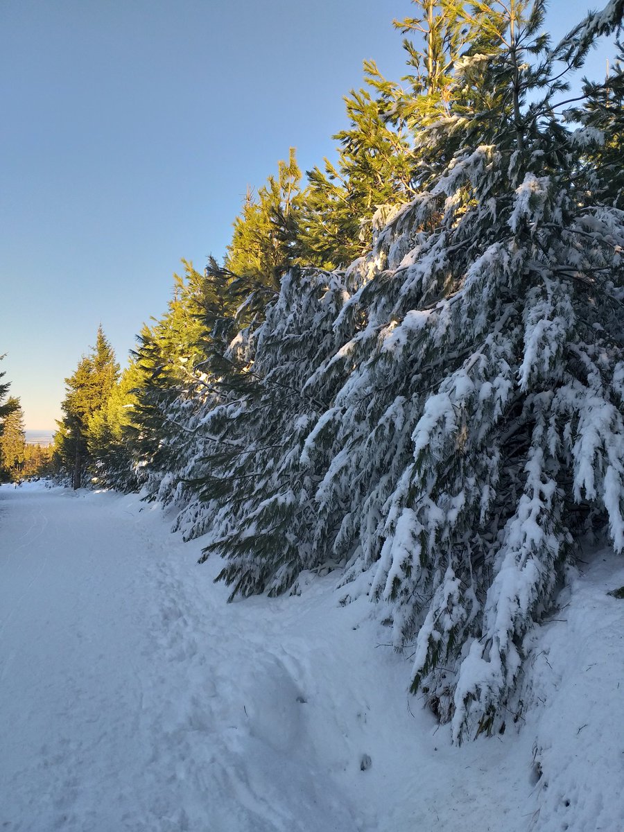Meine Lieben, ich wűnsche euch ein schőnes Winterwochenende ❄🌨🌞🤗! Wir sind dieses WE in Othal und auf dem Fichtelberg unterwegs 🎿⛷🥰! Liebe Grűße von hier ❄❤🙋‍♀️!