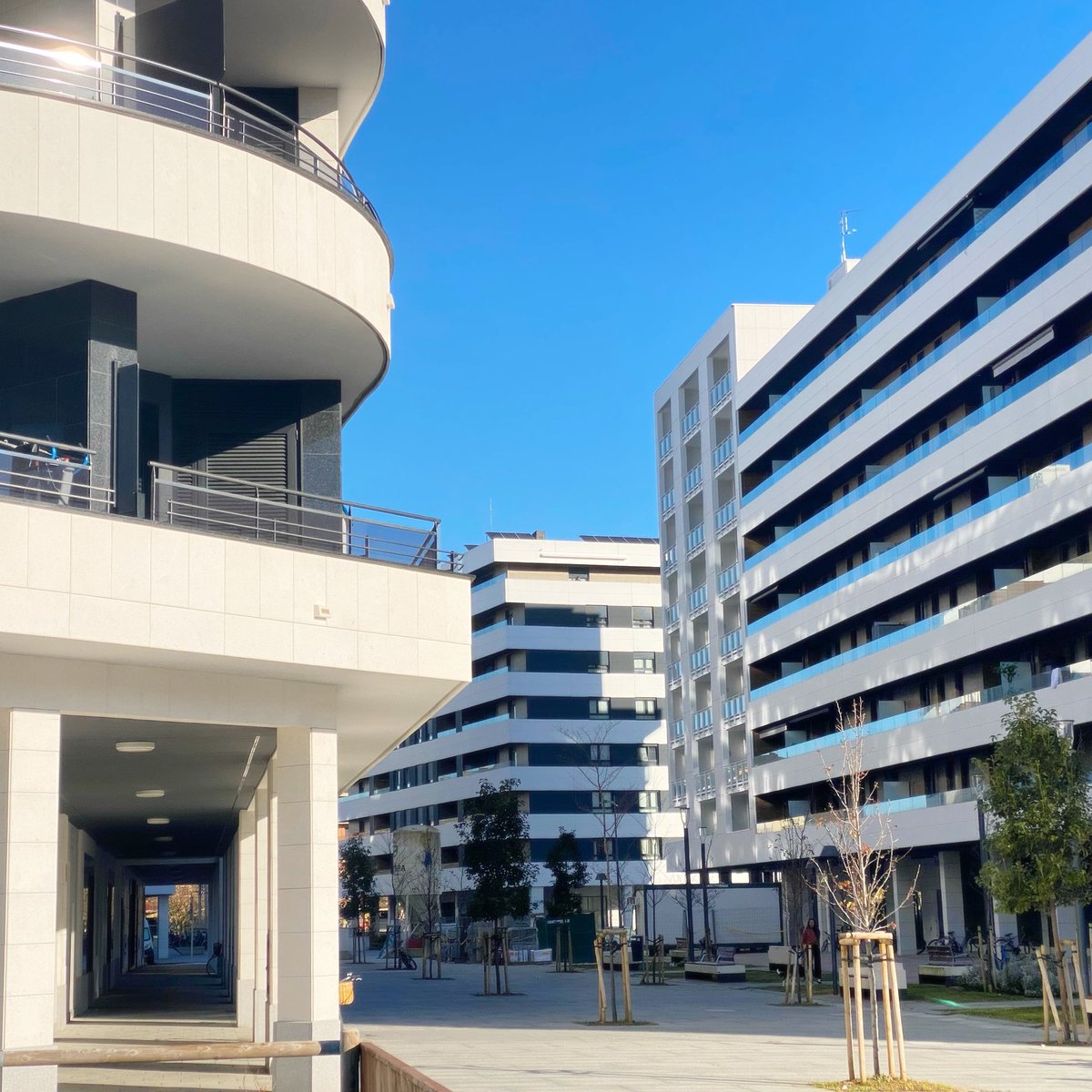 Tumor arquitectónico que se extiende por toda Euskadi, llamado “Estilo Vitaldent Tardío” , o también “Amenabar Palabra de Vasco”.