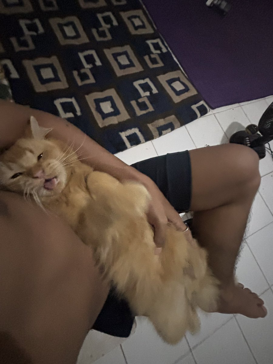kantellll's tweet photo. Mangku kamu kapan? https://t.co/9HdSRFuqeD