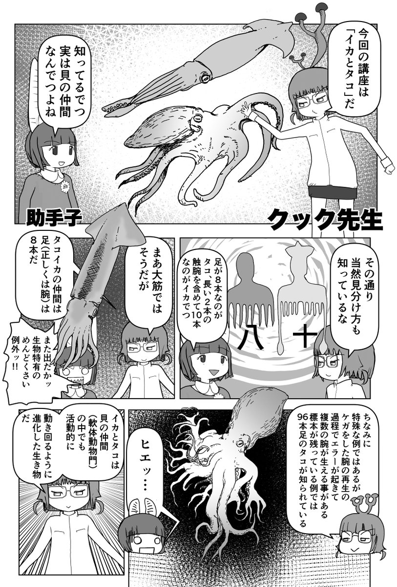 色々と誤解されてそうな動物を漫画で解説していくぞい。 第23回「イカとタコ」1/2 #クック先生の動物講座 #漫画が読めるハッシュタグ #マンガが読めるハッシュタグ #イカ #タコ