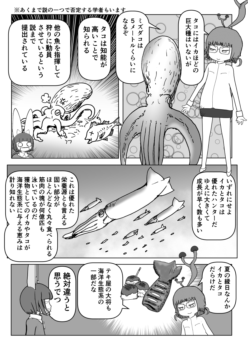と誤解されてそうな動物を漫画で解説していくぞい。 第23回「イカとタコ」2/2 #クック先生の動物講座 #漫画が読めるハッシュタグ #マンガが読めるハッシュタグ #イカ #タコ 