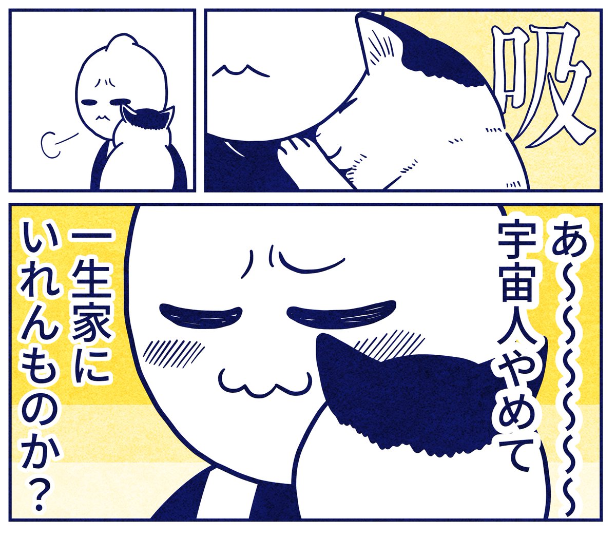 きほん猫飼いは外出キャンセル界隈ダヨネ 