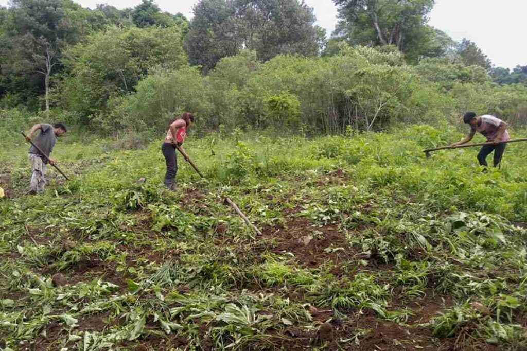 En la selva misionera, entre empresas forestales y atractivos turísticos, el Pueblo Mbya sostiene su modo de vida ancestral, en conexión con la naturaleza. Son 130 comunidades en toda la provincia, para las que "el monte es vida". 🌴🍉
✍️Sergio Alvez
➡️bit.ly/4gjTsqA