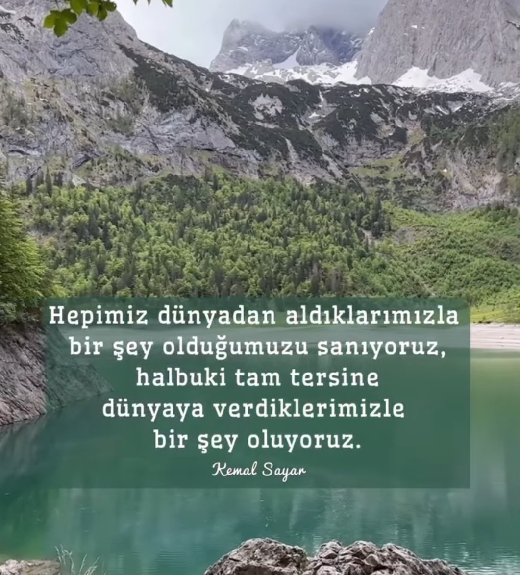 Kemal Sayar (@mkemalsayar) on Twitter photo 