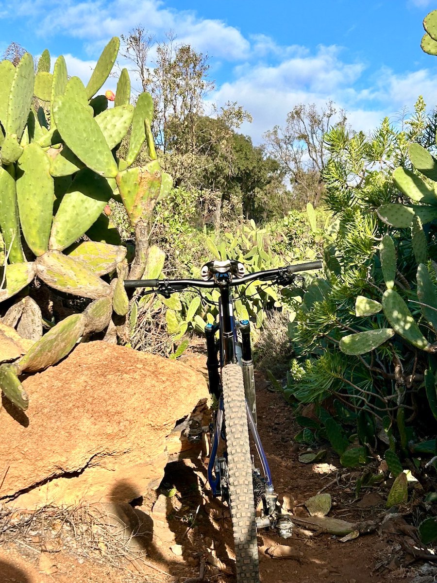 PyreneesWorship's tweet photo. #Twitcyclos 🇮🇨 https://t.co/NlErbXGKtr