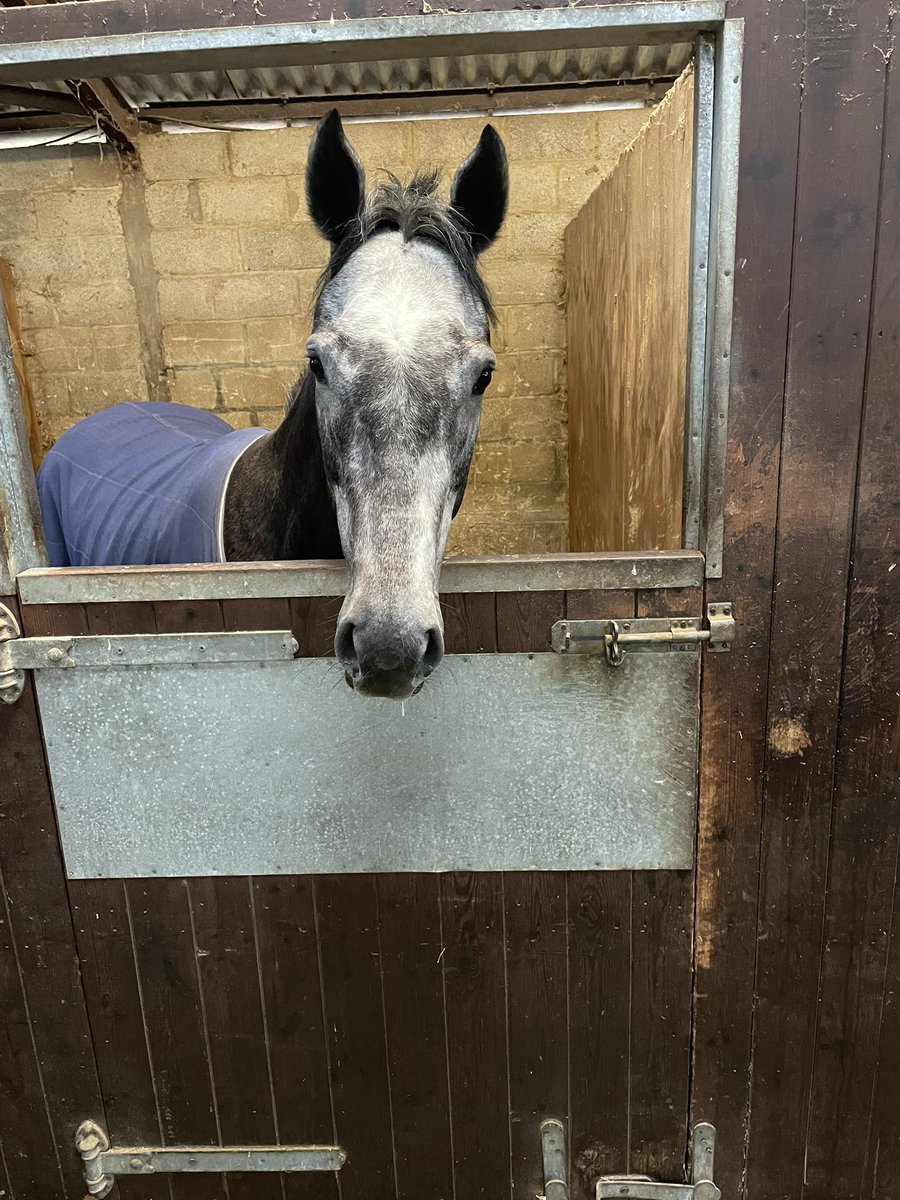 HeatherMainRacing tweet media