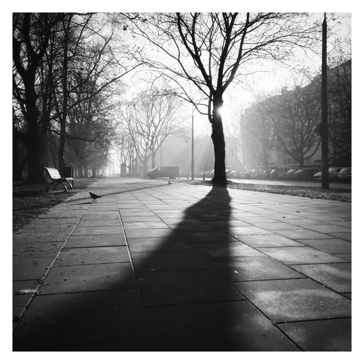 #photograghy #bnw #alejaroz #streetphotography #shadow #mobilephotography #bnwphotography #nowahuta